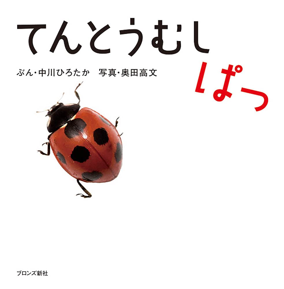 はちしゃん、くおっか、てんとうむしぽしぇっとセット① Amazon.co.jp: てんとうむしジャンケン W-240 : おもちゃ